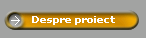 Despre proiect